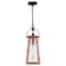 Quoizel Carolina Mini Pendant 1 Light Aged Copper CLN1507AC - alternate 5